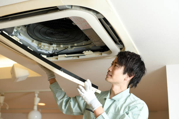 Best Air Duct Mold Removal  in Sterling Heights, MI